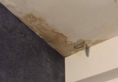 Fuite d’eau en copropriété : que faire comme syndic bénévole ?